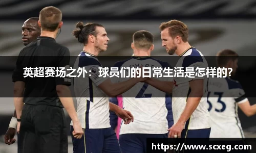 博鱼.体育官网