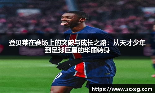 博鱼.boyu体育