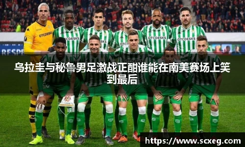 博鱼.体育官网