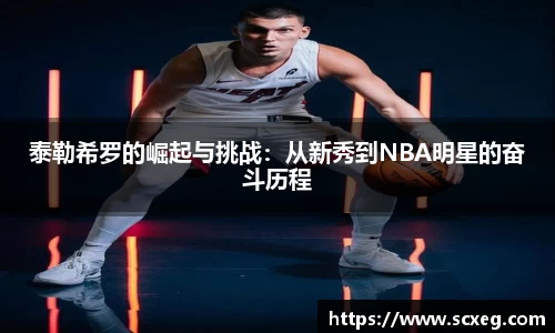 博鱼.体育官网