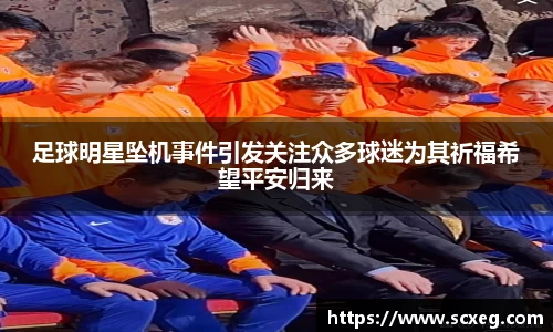 博鱼.体育官网